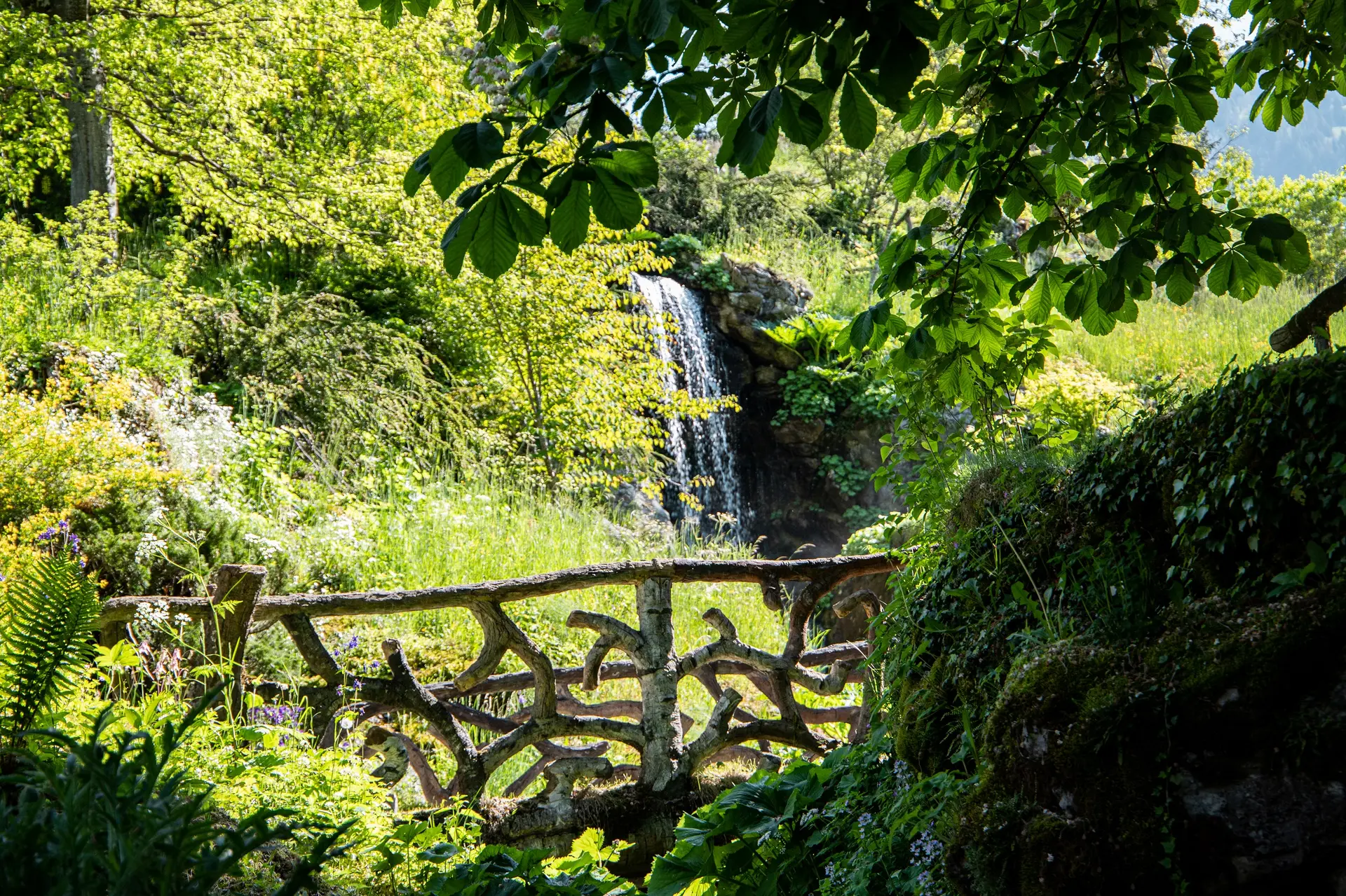 Cascade Jardin Jaysinia