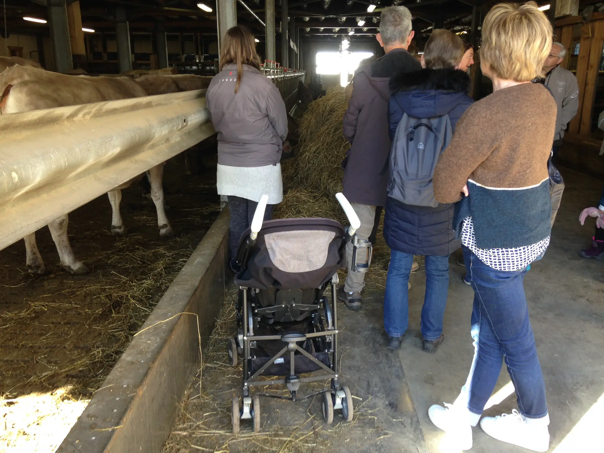 Val d'Isère : visite à la ferme