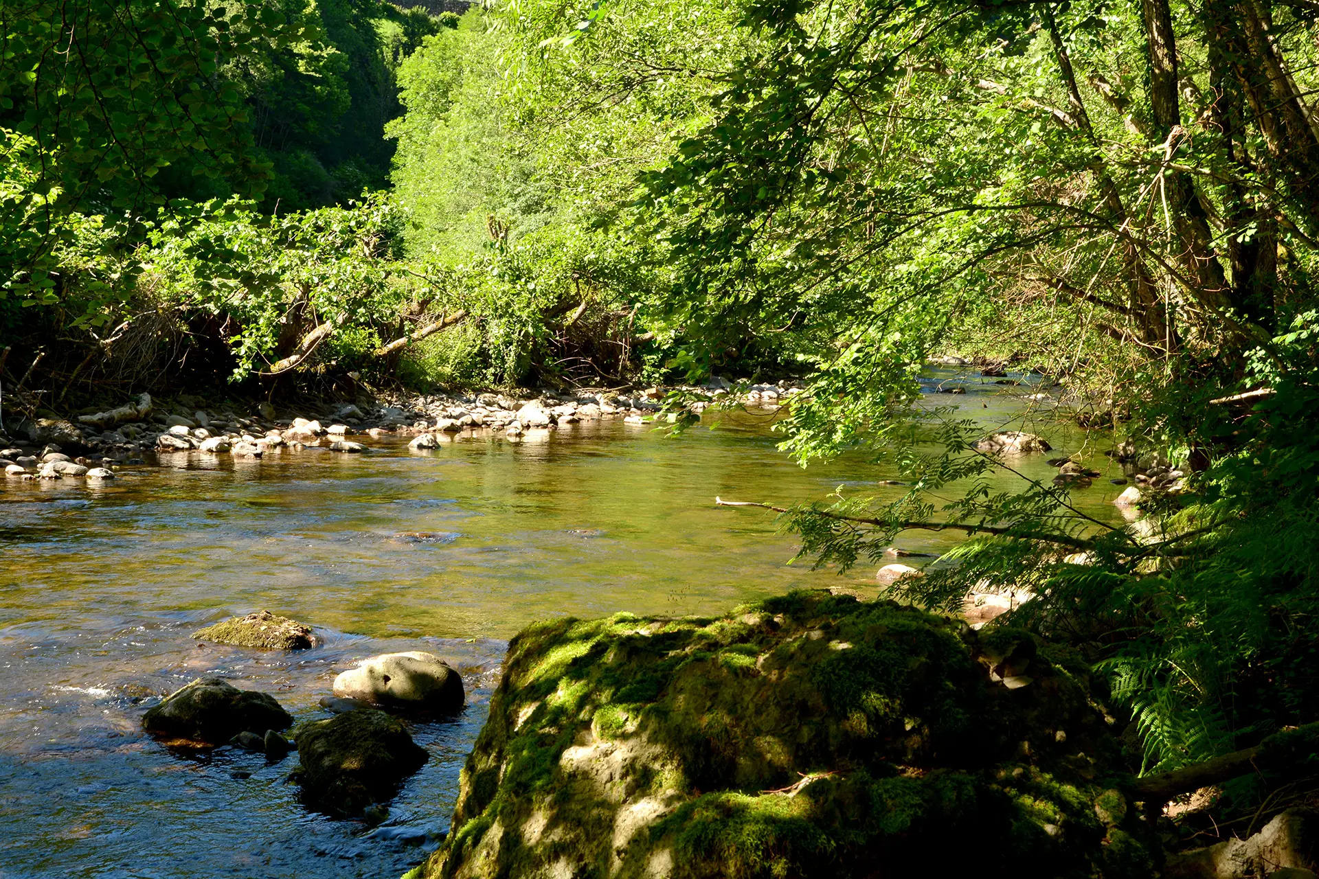 Rivière La Jordanne