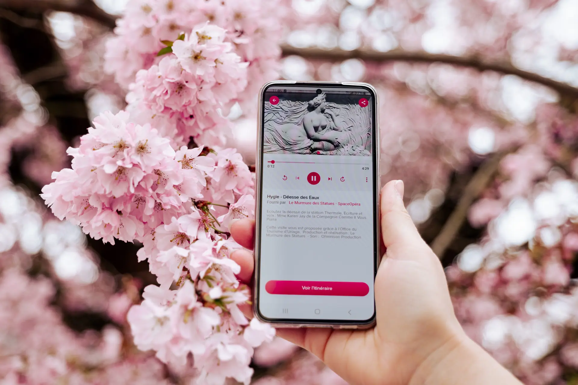 Une main de femme tient un téléphone devant des fleurs de cerisier.
