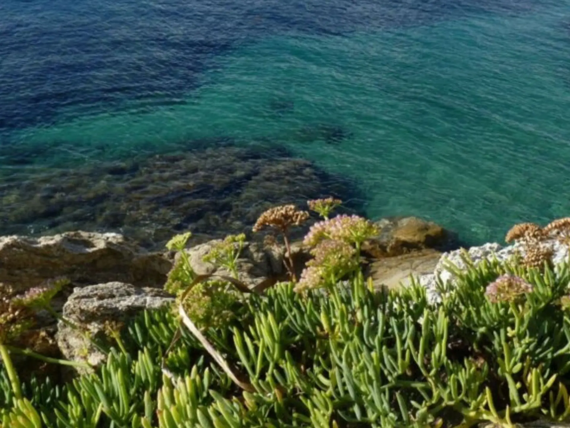 Hike Rivages