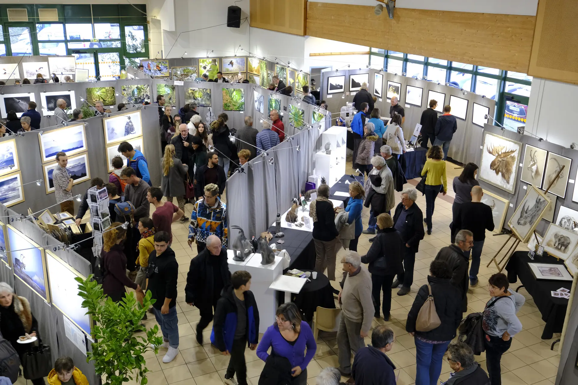 Festival Instants Sauvages 74