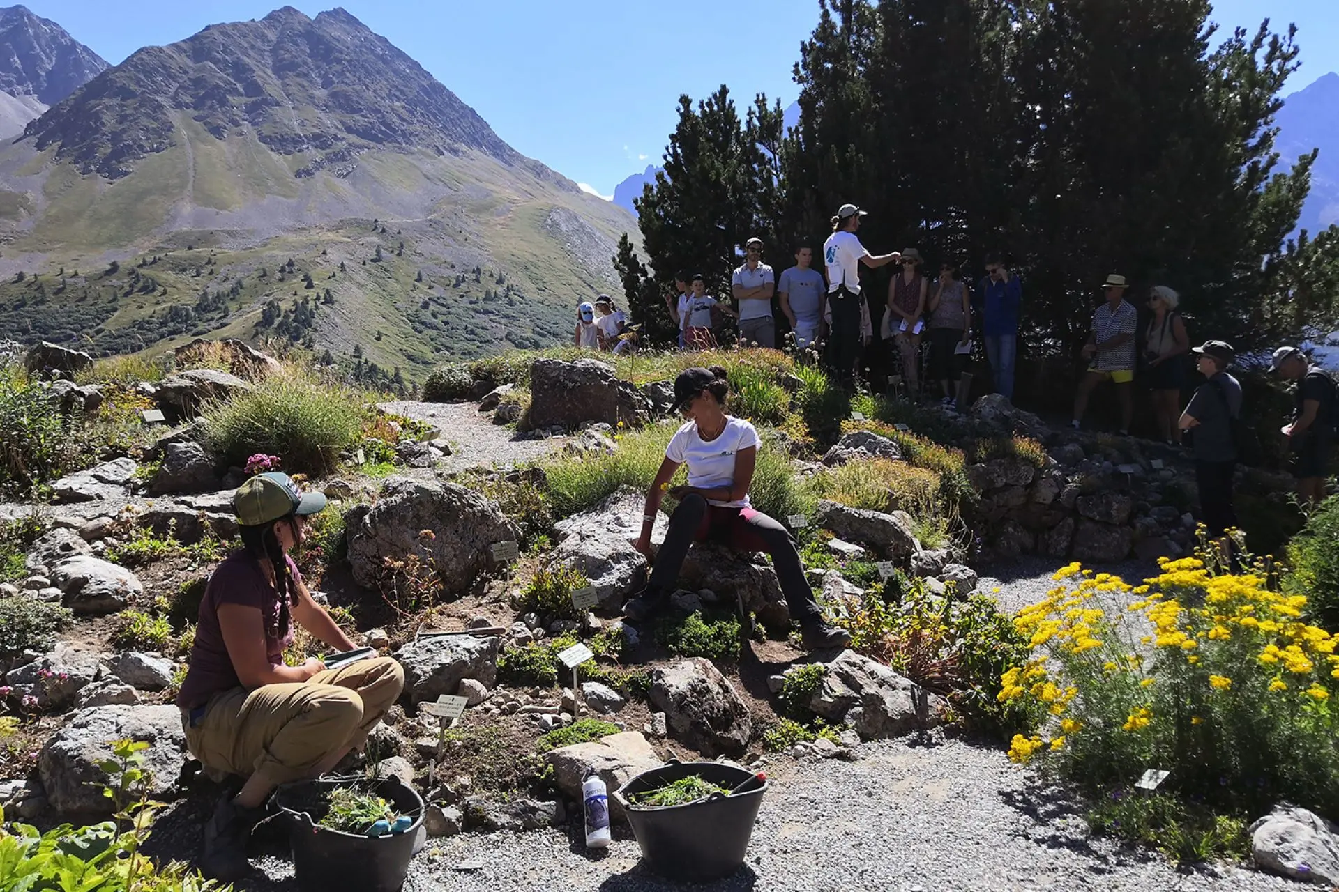 Visite guidée et travail jardinier au premier plan