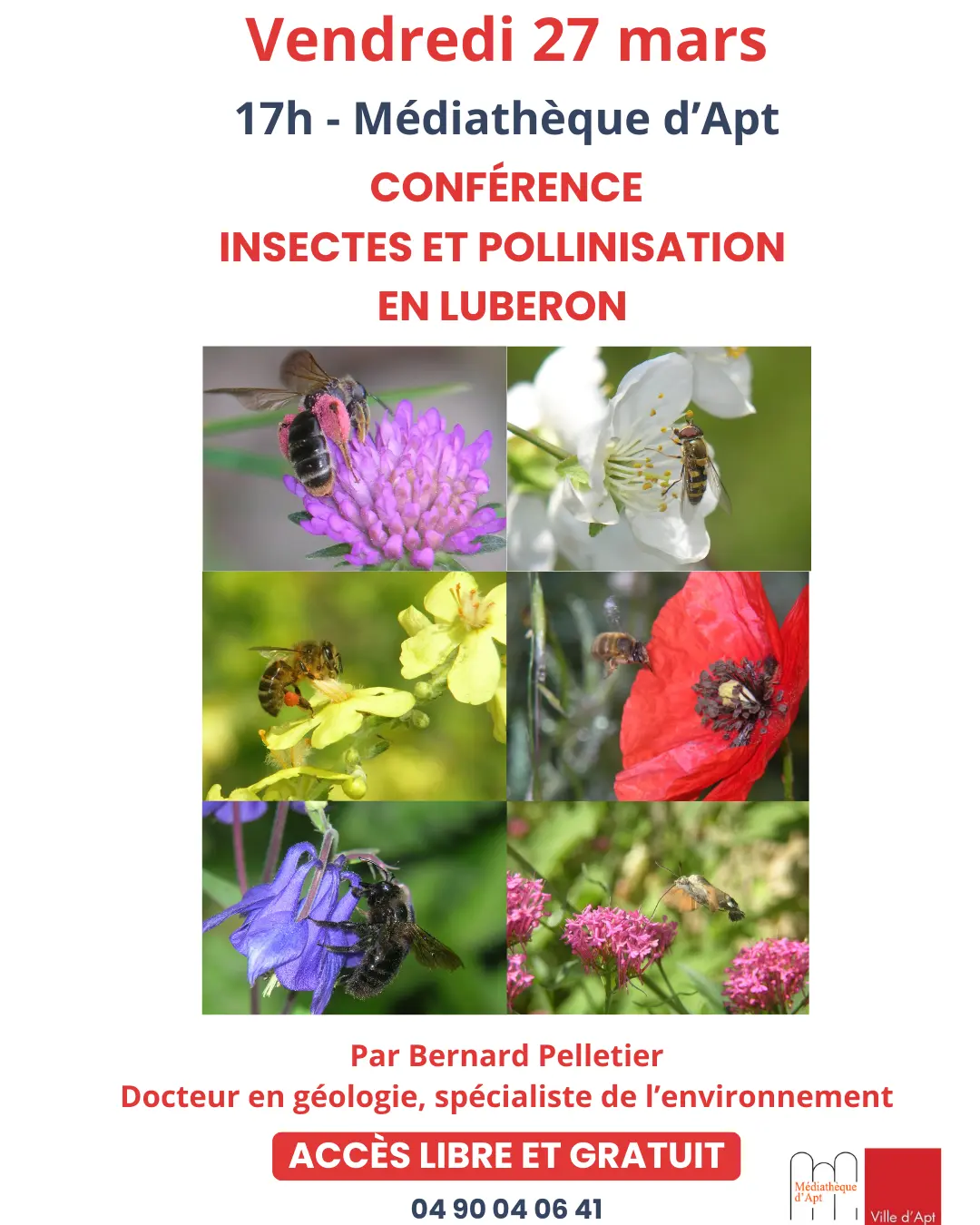 conférence insecte pollinisation en Luberon