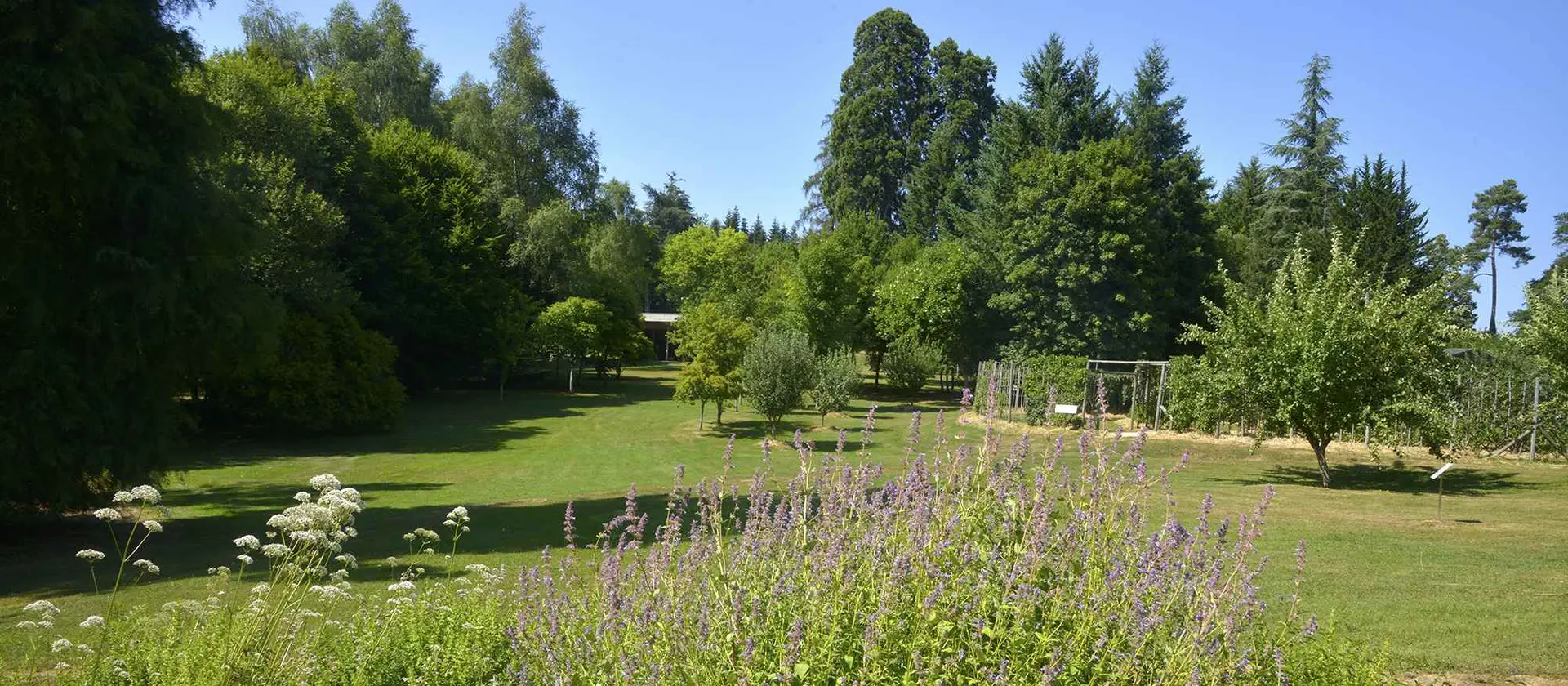 La Plantelière