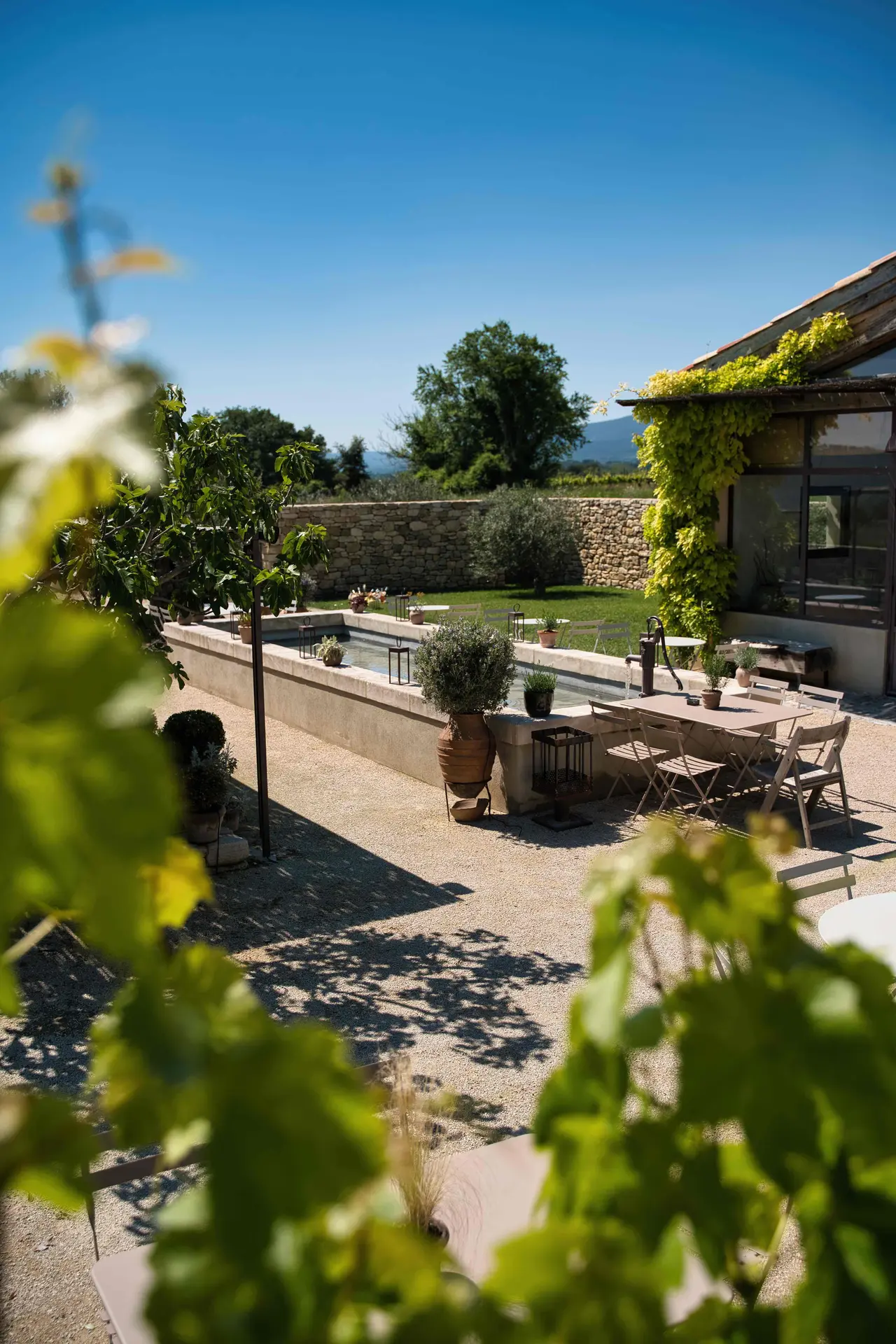 Absolument Vins aux Terrasse d' Adrien_Sannes