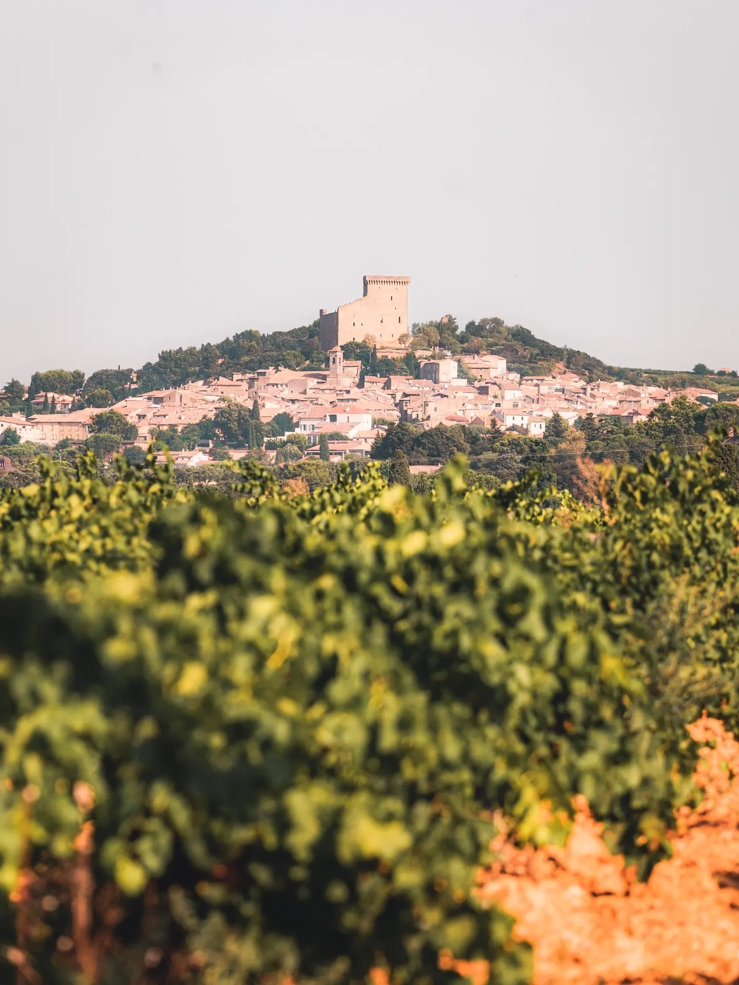 Village de Châteauneuf du pape