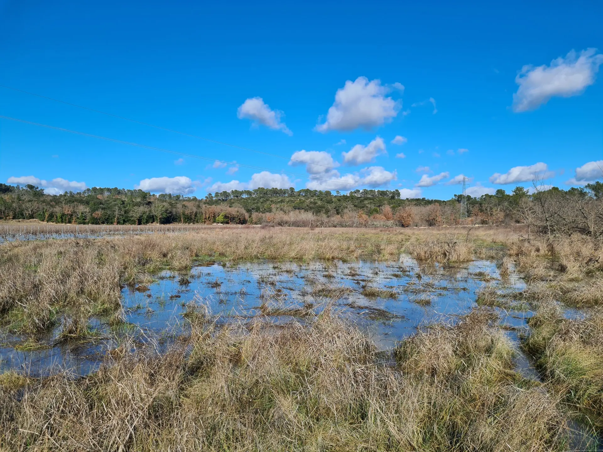 Zone humide de Bayonny