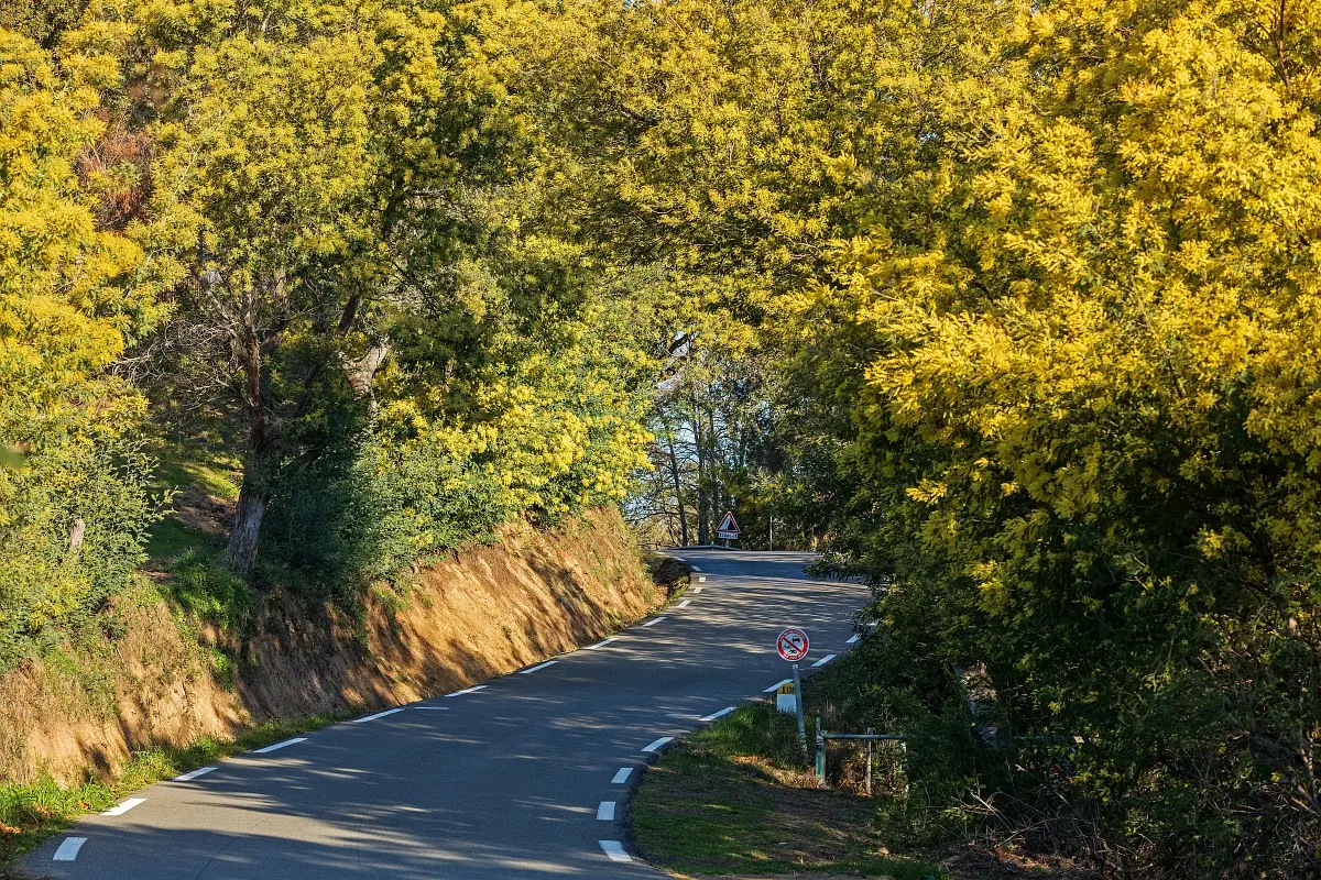 Excursion en autocar