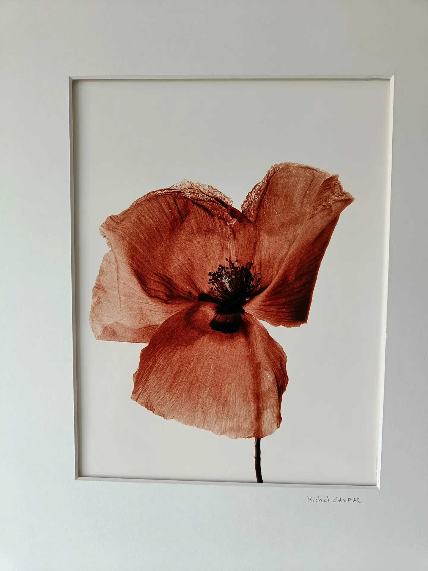 Photo d'une oeuvre photographique