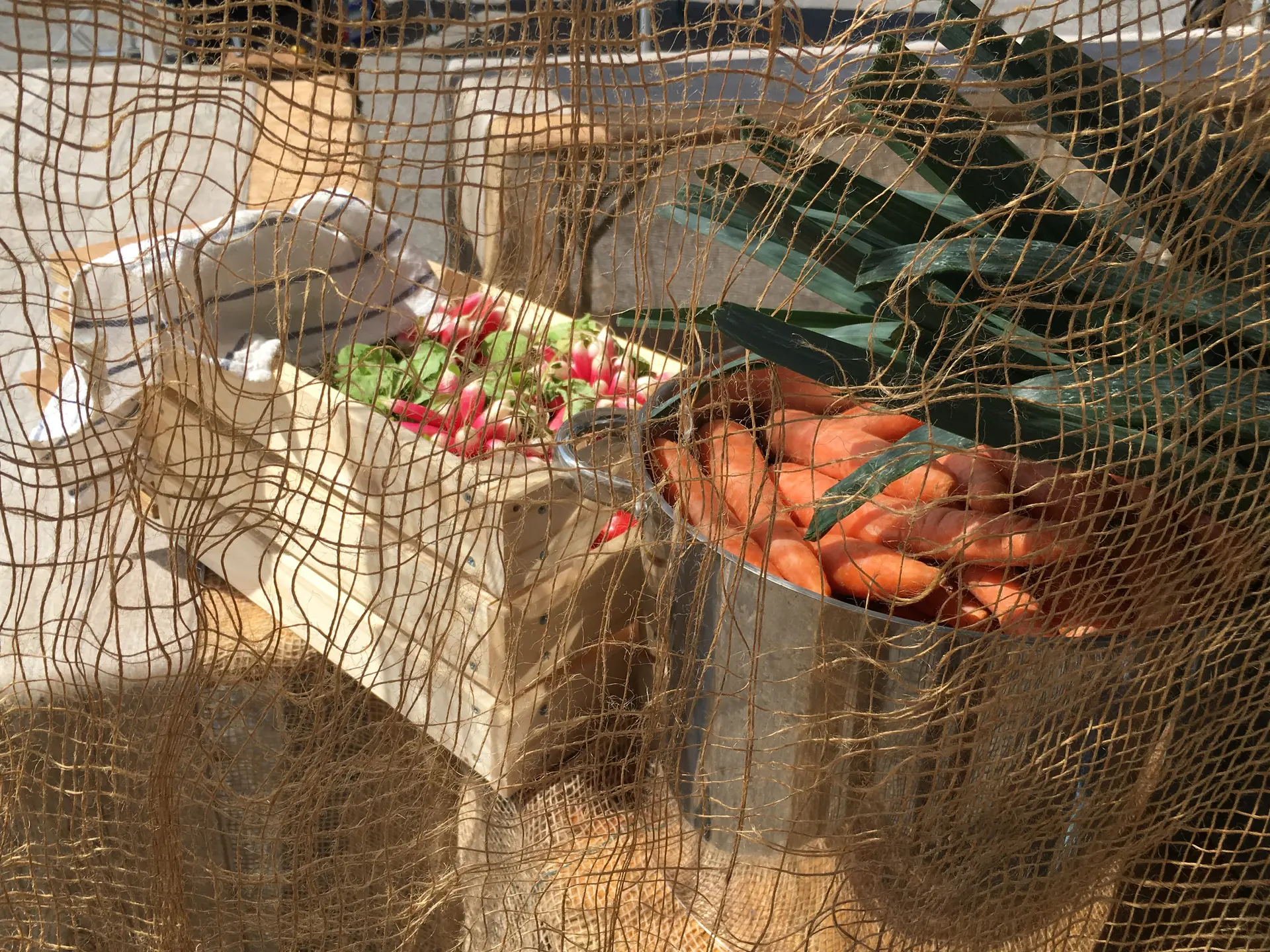 Ambiane Potager musical