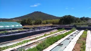 Domaine de la Dominette