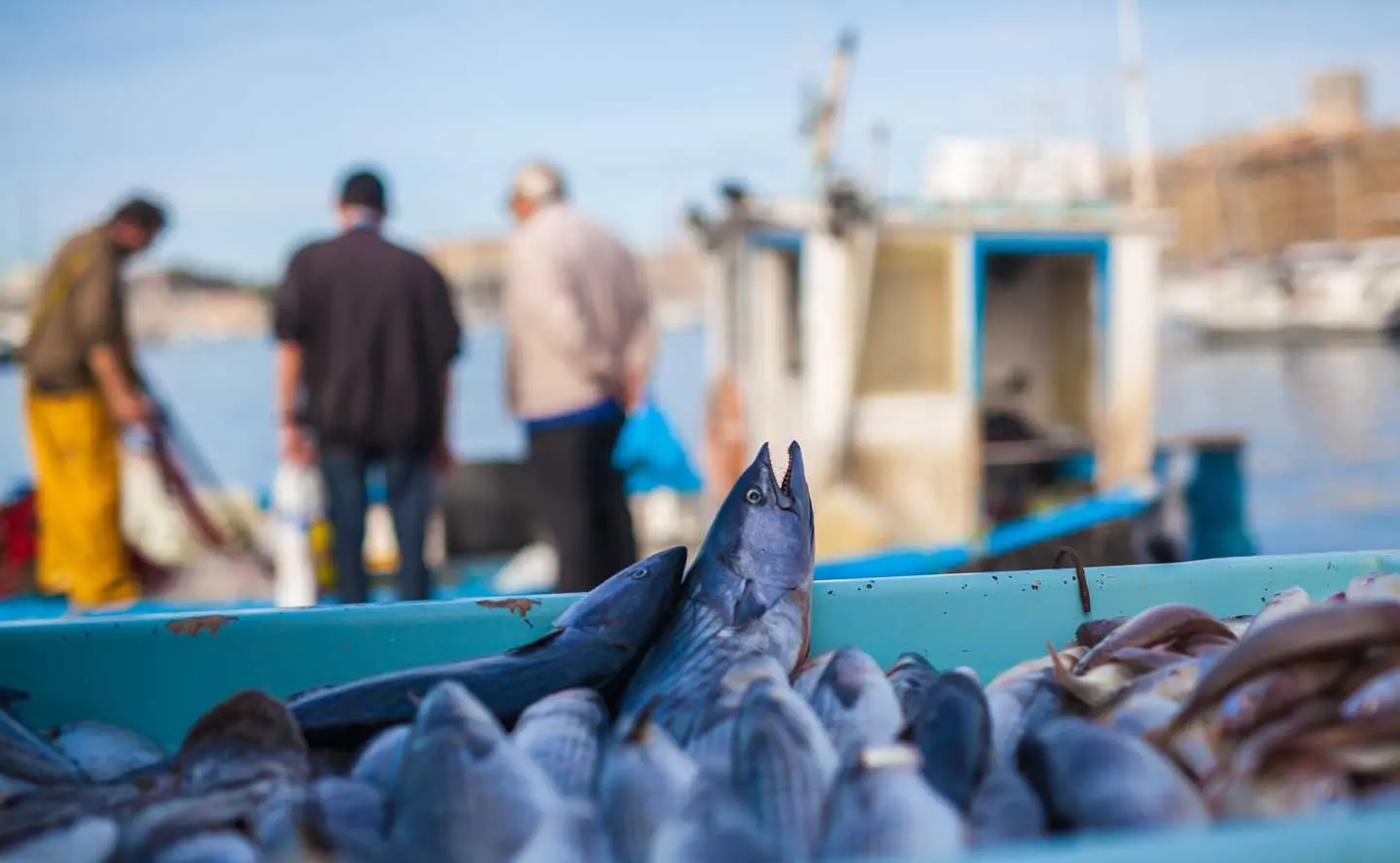 Etal des pêcheurs 2