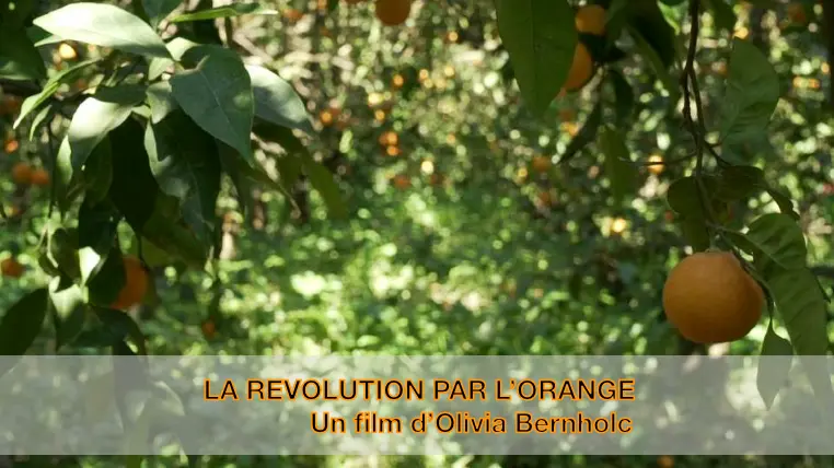 La Révolution par l'orange