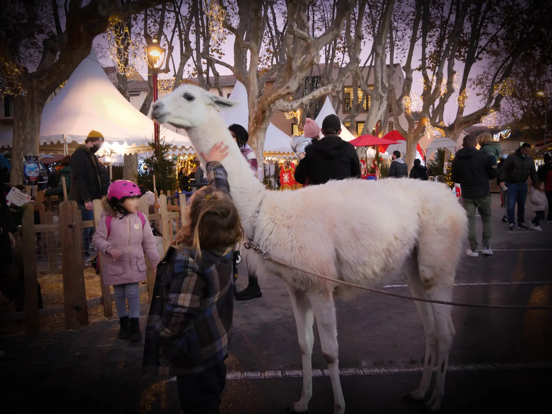 Mini ferme de Noël de Saint-Cyr-sur-Mer