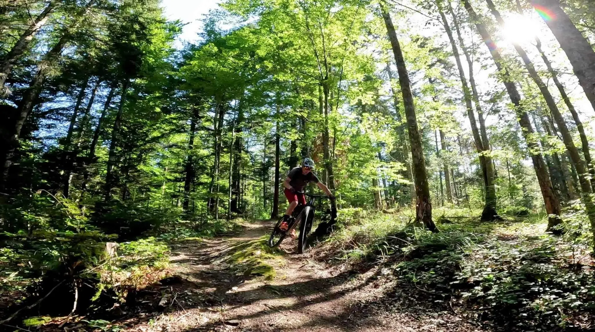 Bike Park de Cormaranche en Bugey