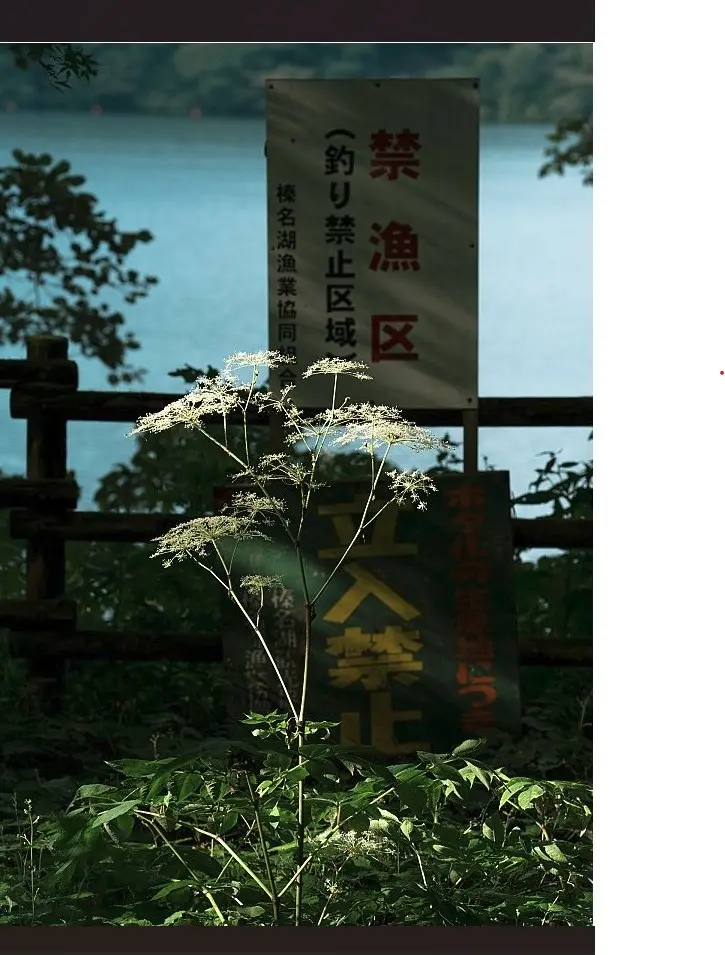 Exposition au FRAC Région Sud L'écologie des relations