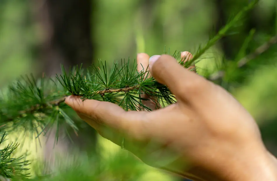 Pure Flow - Festival Sport & Bien-Être en Montagne_Les Orres