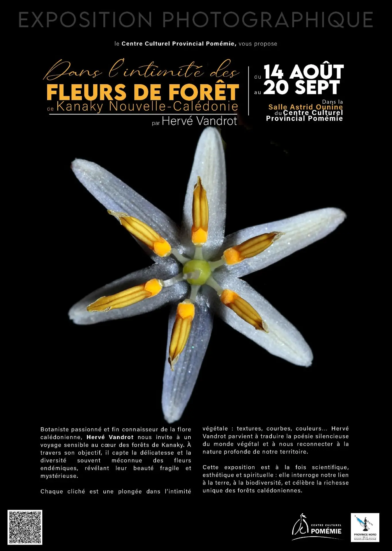 Dans l'intimité des fleurs de forêt de Kanaky Nouvelle-Calédonie