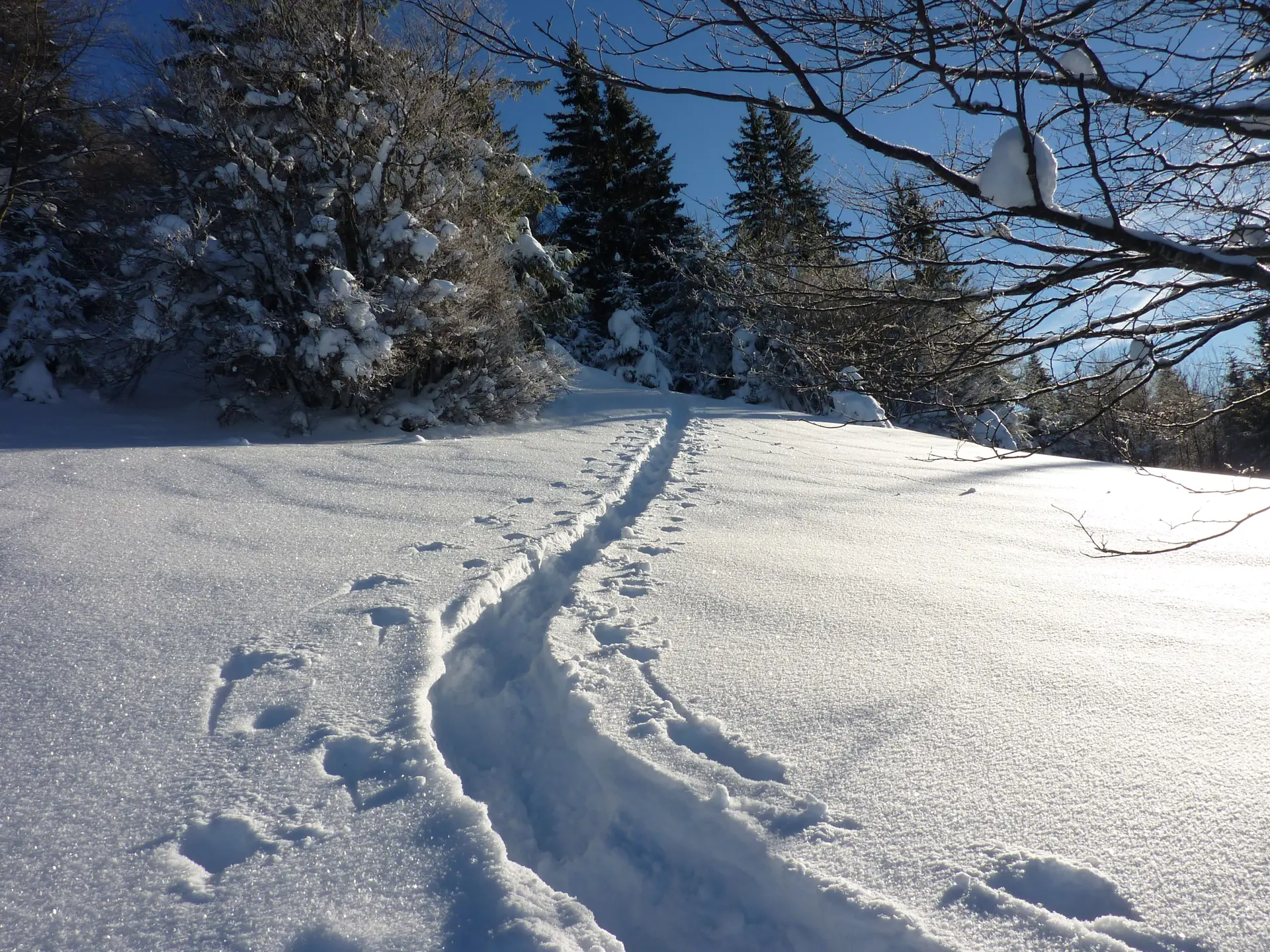 Faites de la Raquette