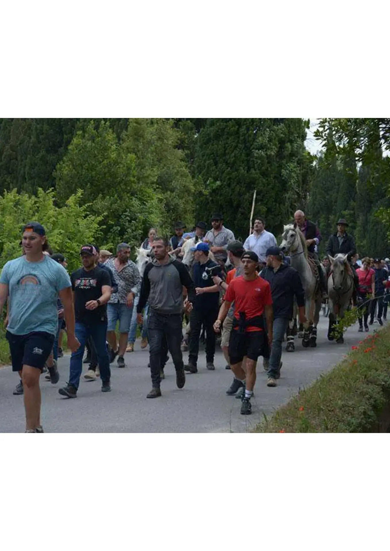 Fête du quartier des Jardins_Saint-Rémy-de-Provence