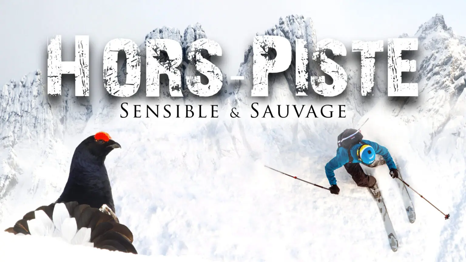 Affiche du film Hors piste