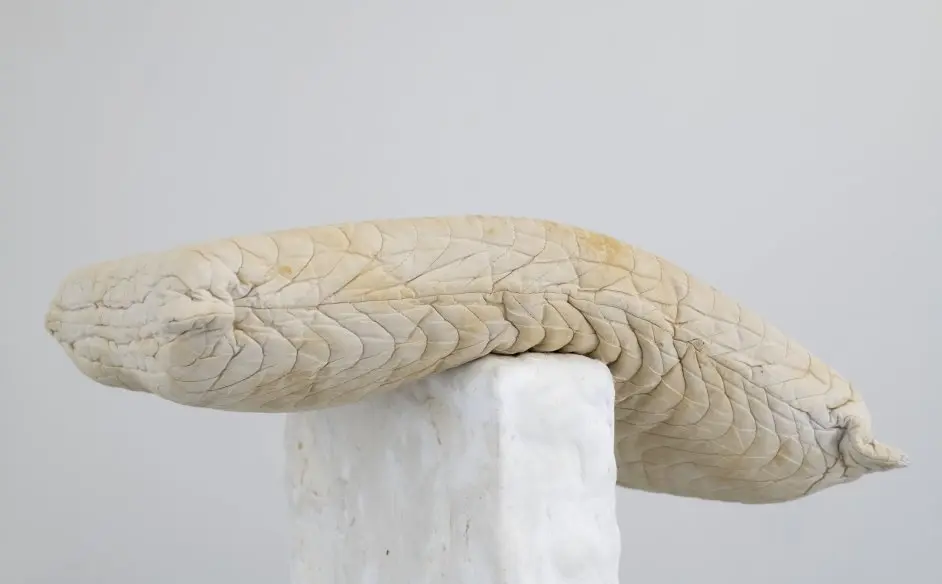 Exposition - Transmission_Pierrefitte-sur-Seine