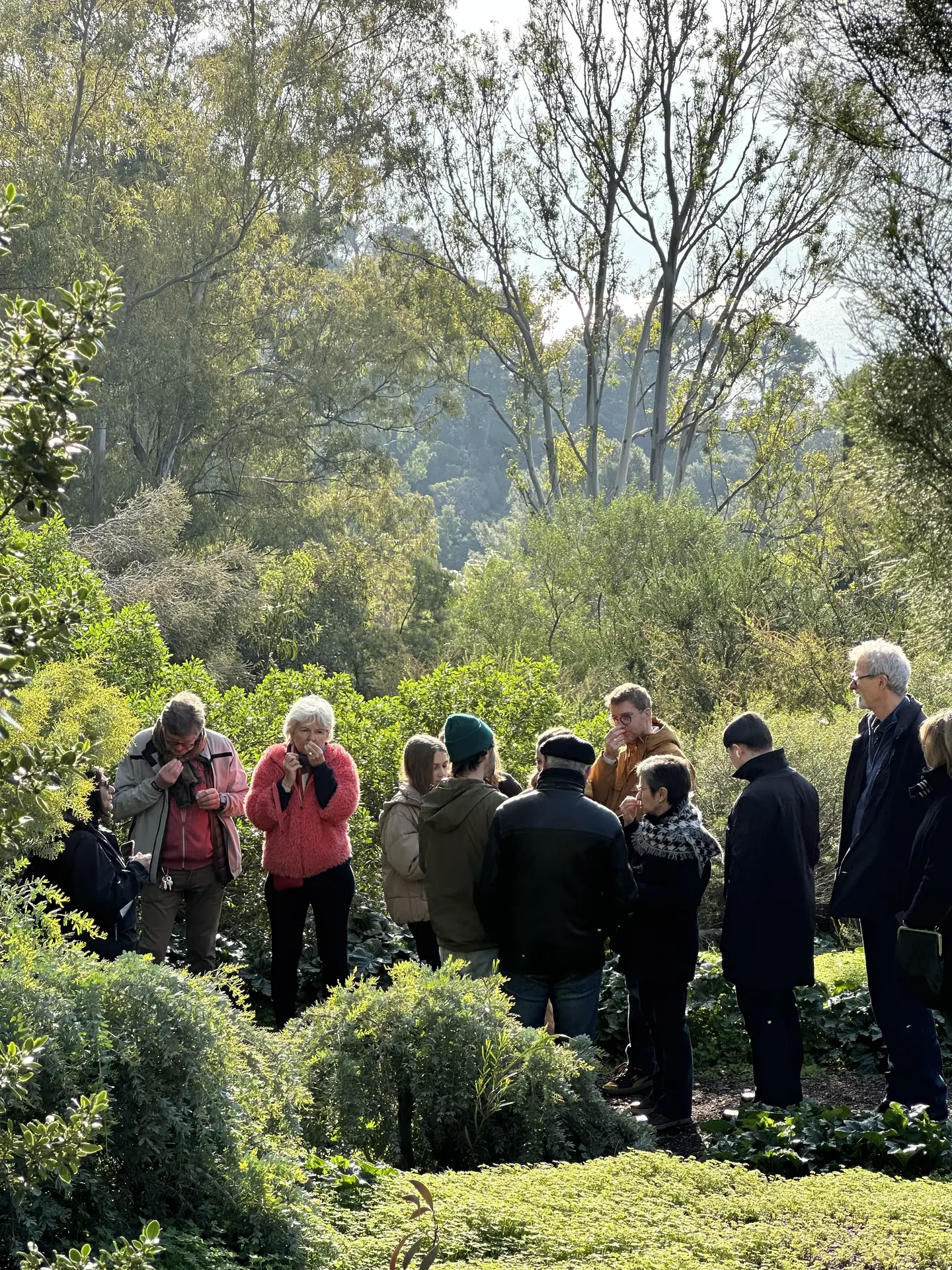 Domaine du Rayol