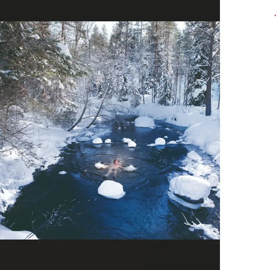 Festival de cinéma nordique