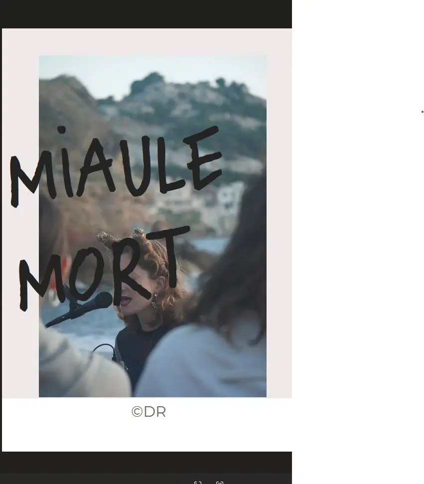 Concert de Miaule Mort