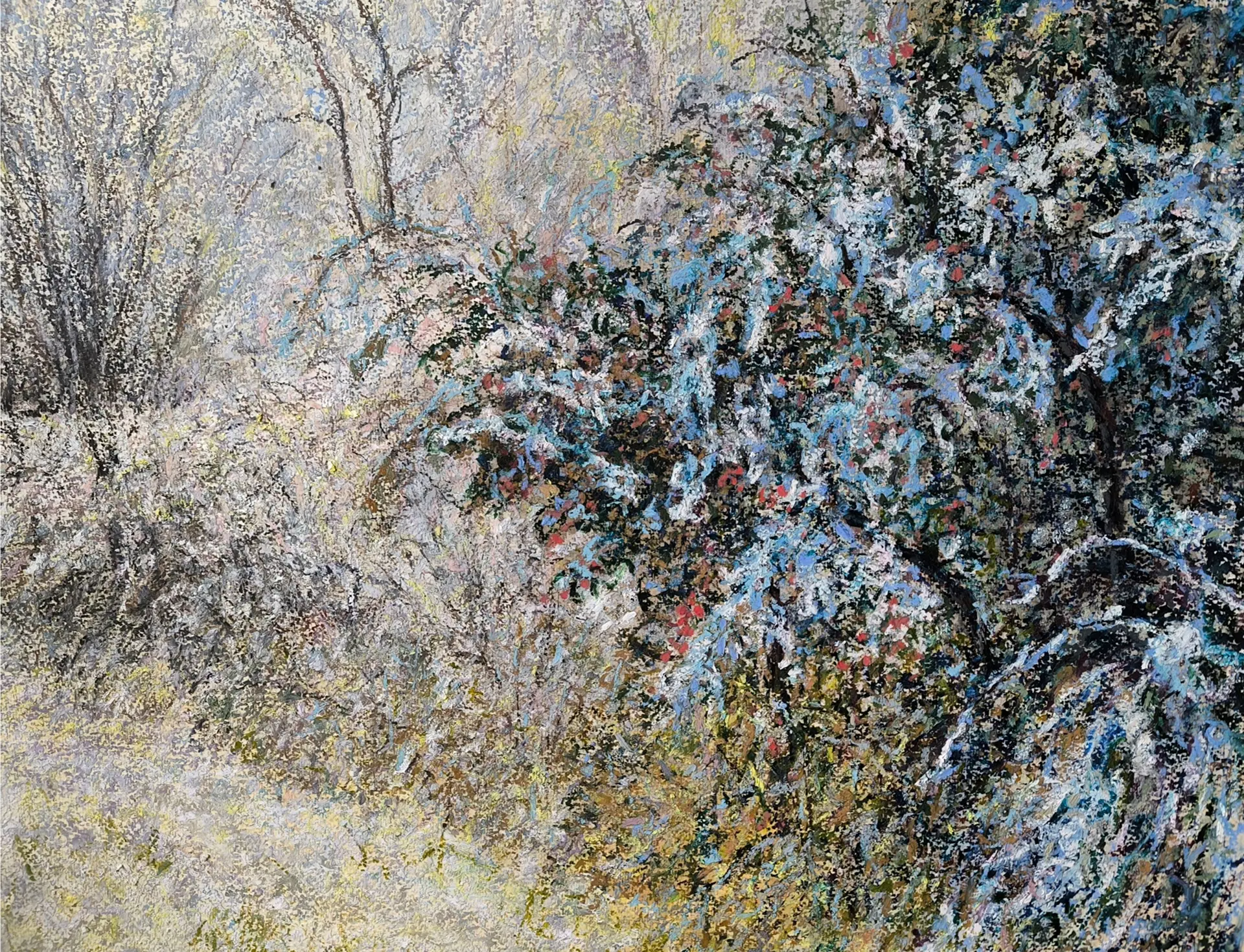 Lueur glacée