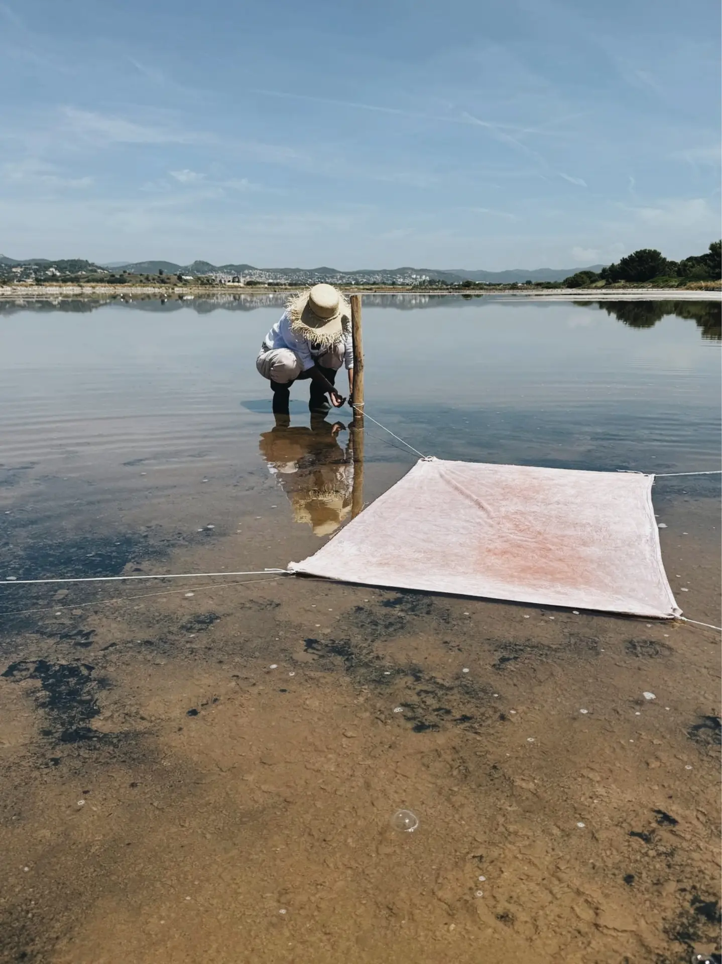 Exposition à retrouver du 12 au 20 septembre 2026