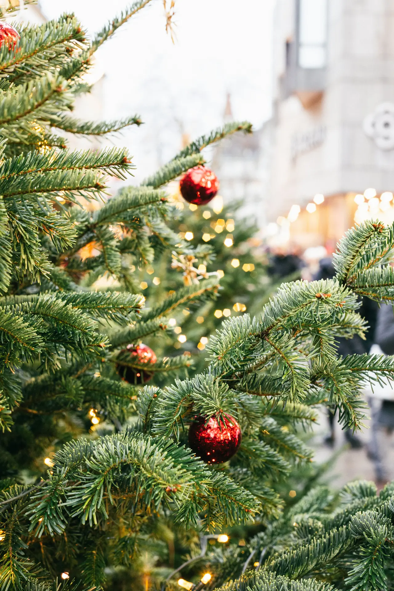 image d'un sapin de Noël