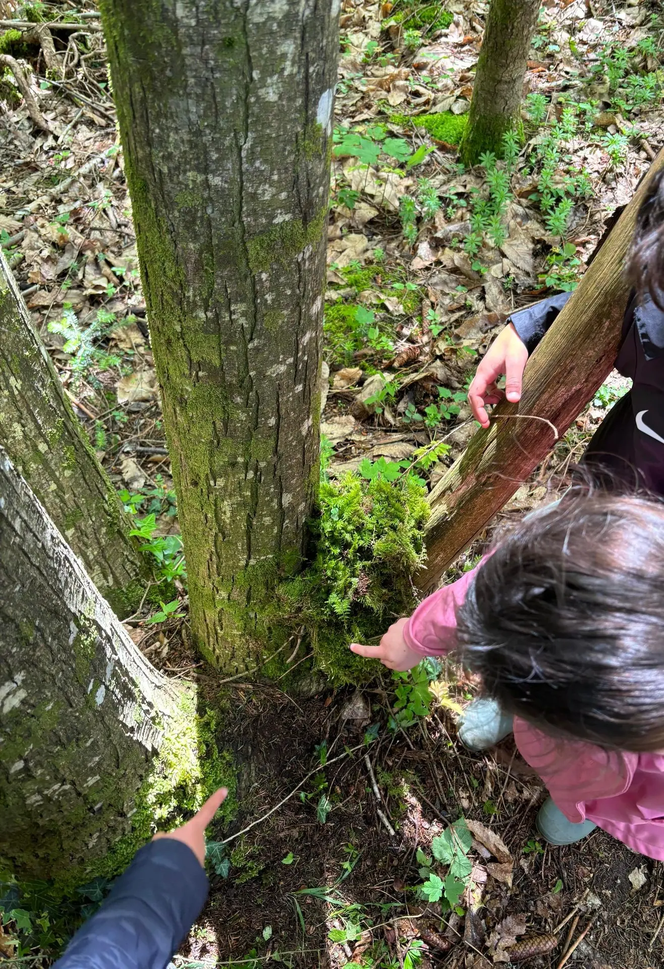 Observation de la nature