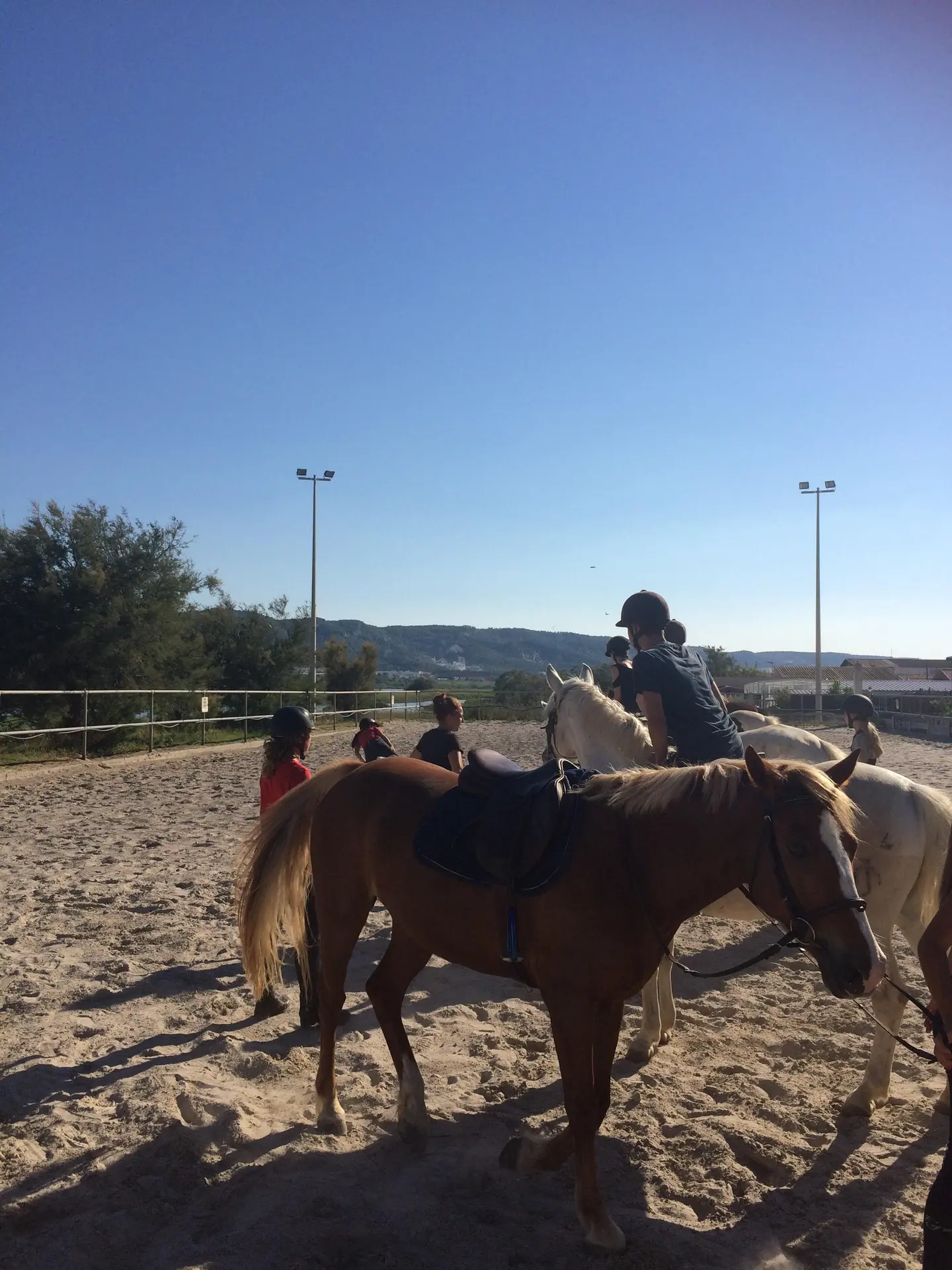 Chevaux