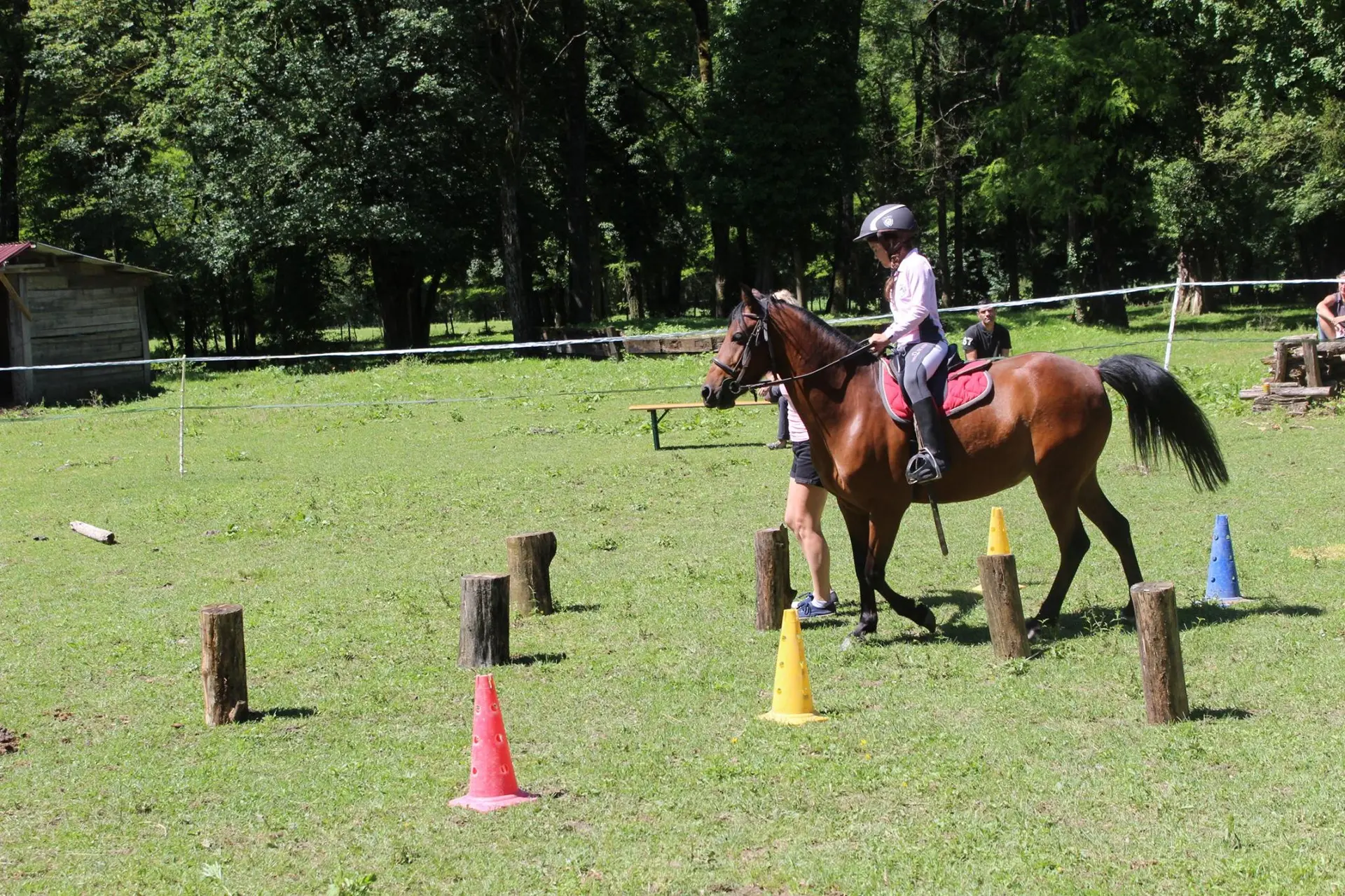Poney découverte Balmettes