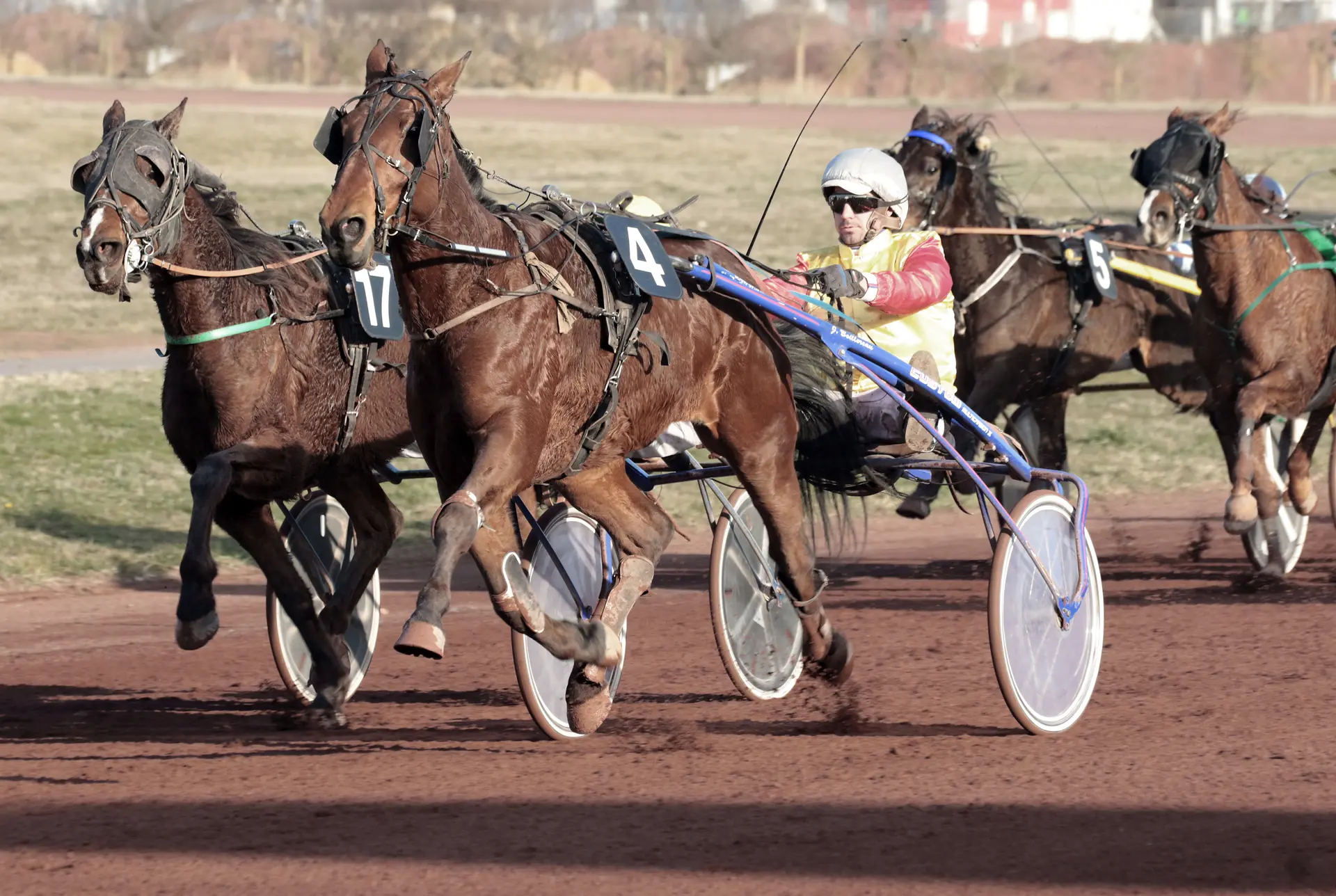 courses hippiques avec sulky