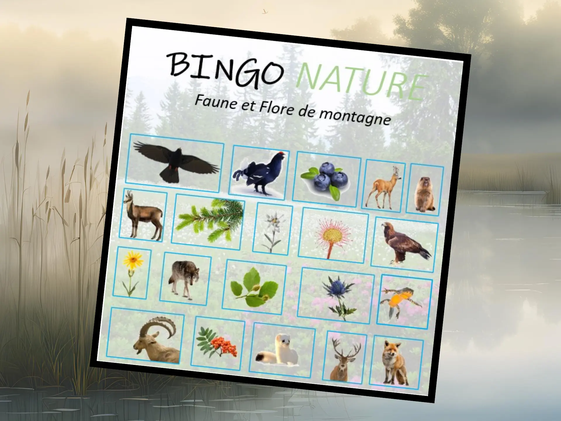 Bingo Nature
