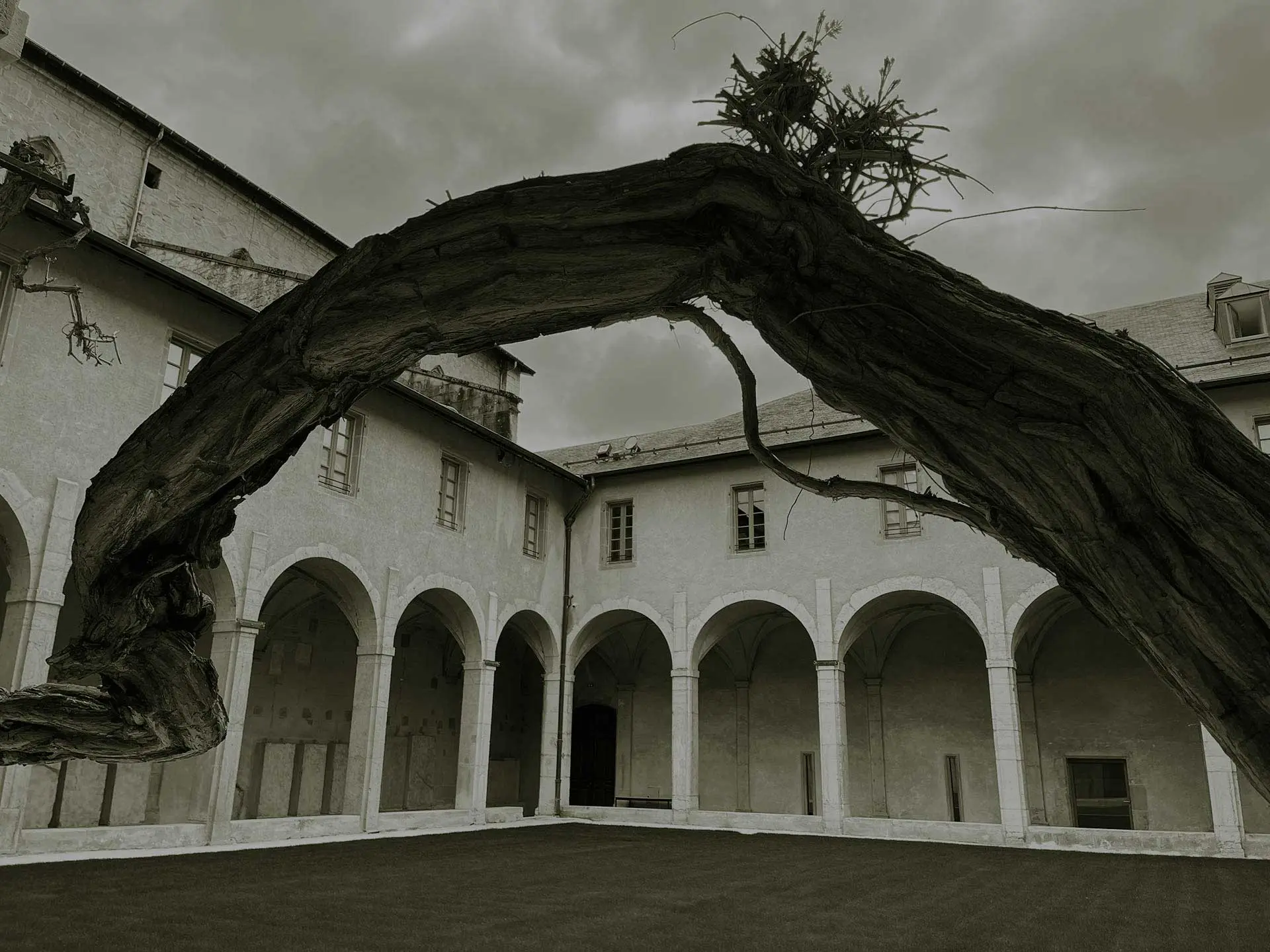 Cloître du Musée Savoisien