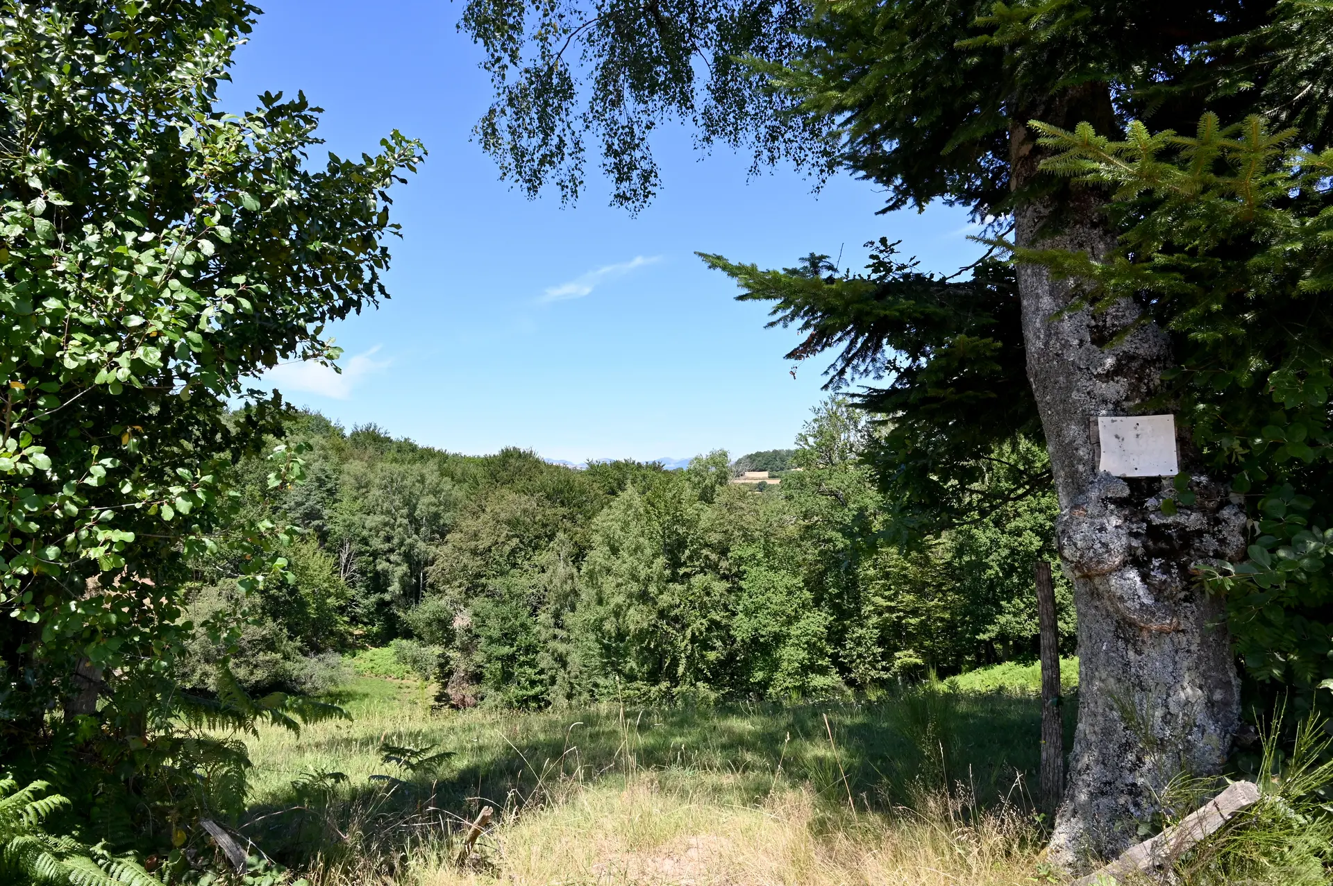 Balisage de la randonnée
