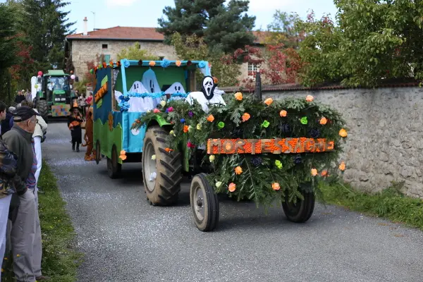 Félines 2018