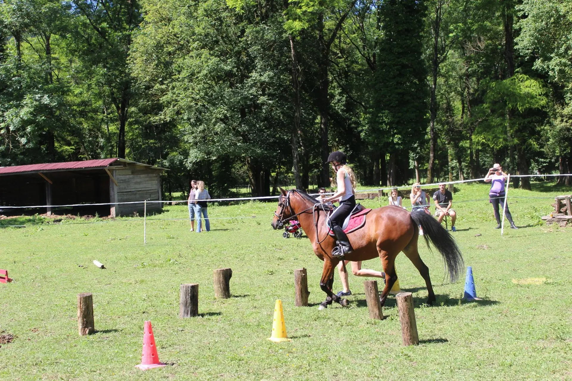Poney découverte Balmettes