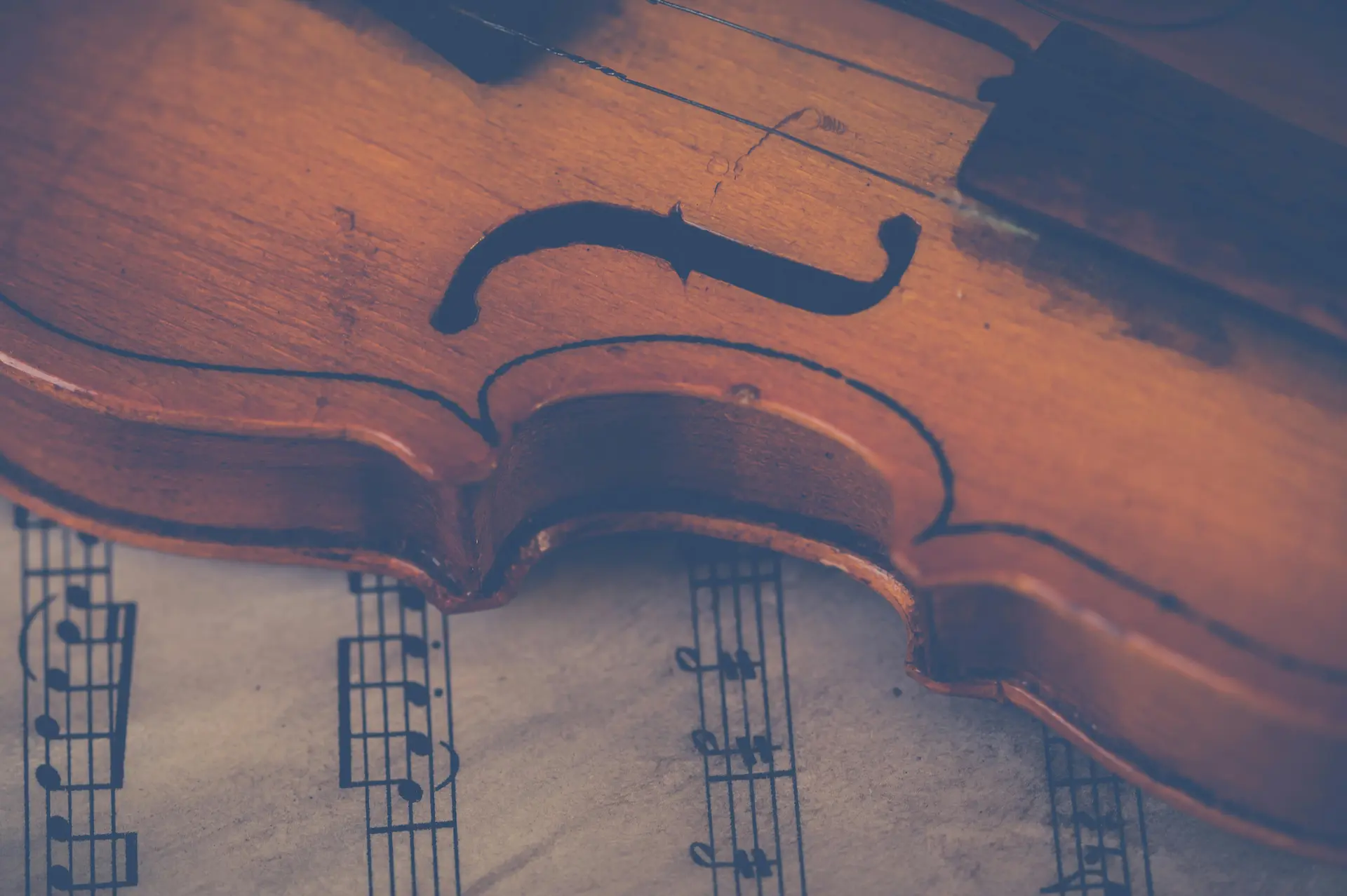 Violon