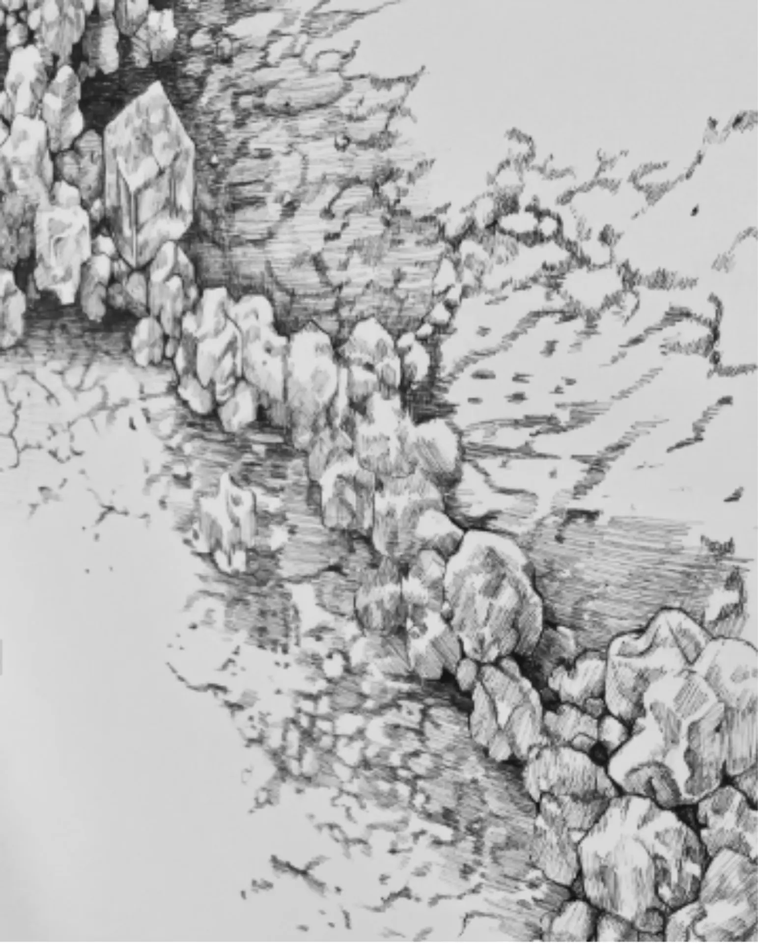 Vestige, Trame, Germe, Seuil, été 2026 Dessins au stylo bille sur papier