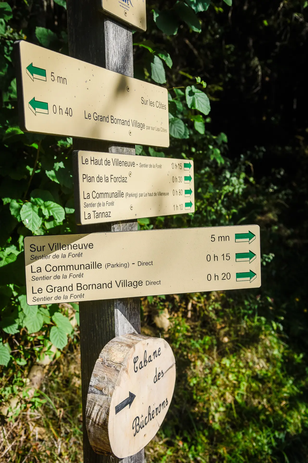 sentier de la forêt 5