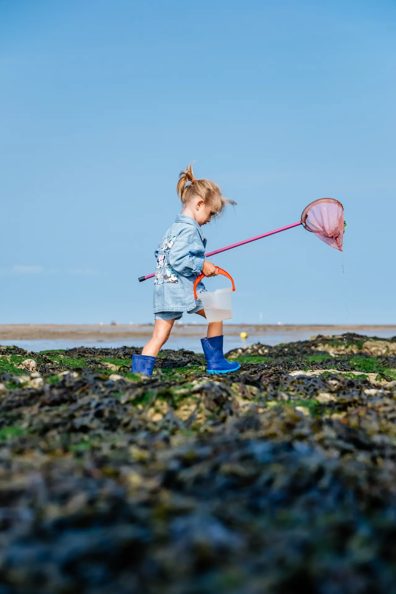 Petite fille à l'venture lors de la visite guidée Coquillages et crustacés à Châtelaillon-Plage