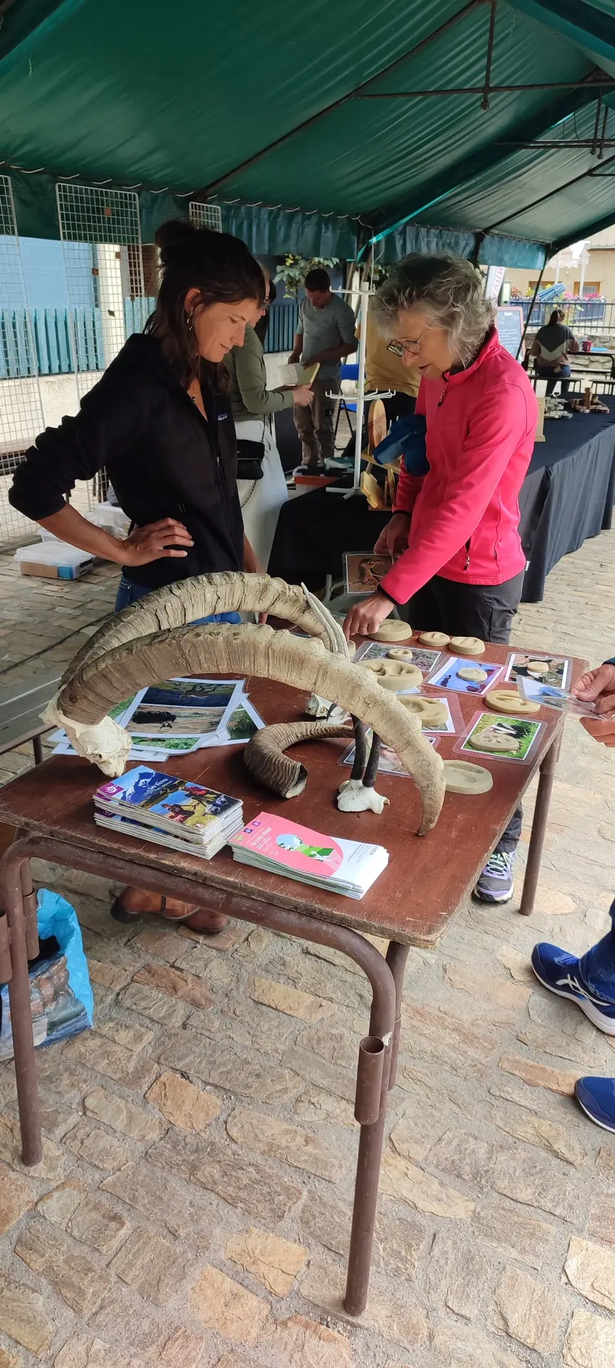 Animateur du Parc National des Ecrins