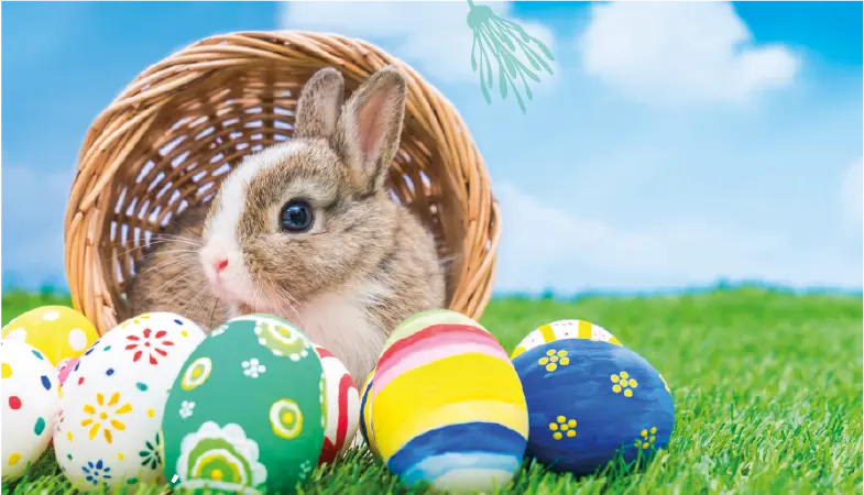 Panier avec des oeufs de pâques