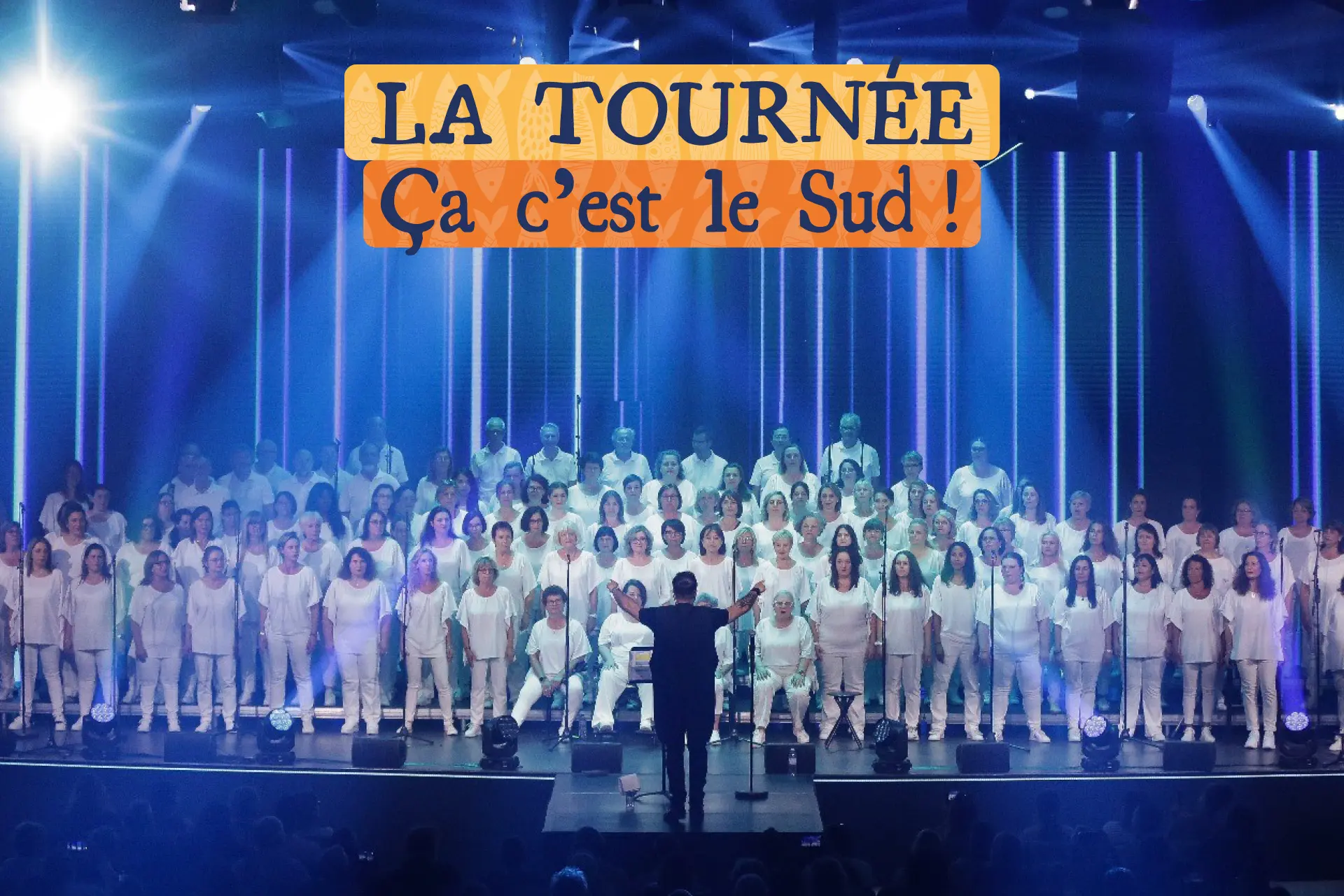 Les animations de l'été en Méditerranée Porte des Maures