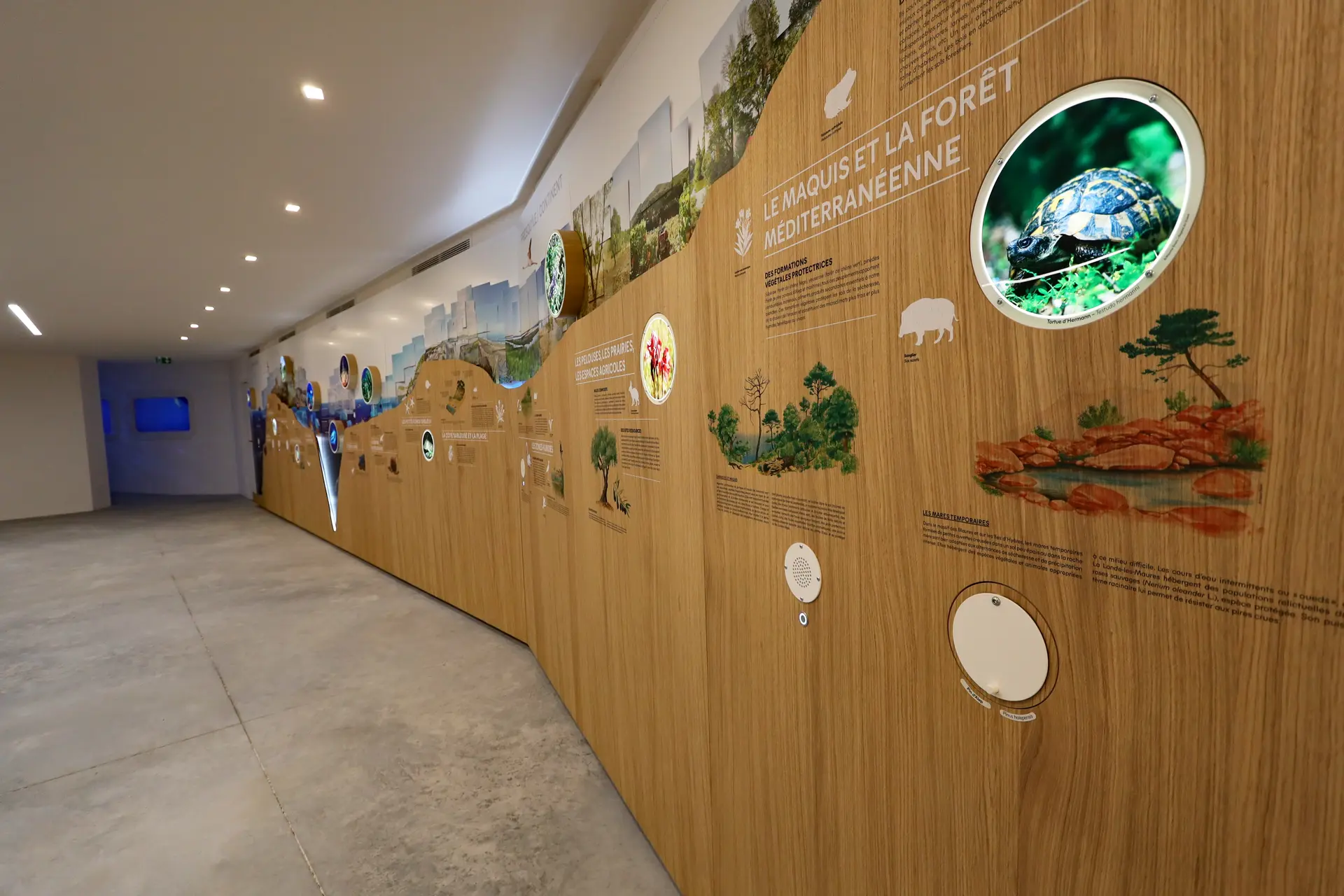 salle d'exposition